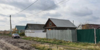 Сразу в двух омских сёлах ввели карантин по бешенству - Om1.Ru