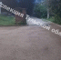 15 мая в поселке Лазарево Щекинского района произошло ДТП с СИМ. - ГТРК