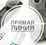 О порядке предоставления путевок детям от 7 до 17 лет в организации отдыха расскажут 20 мая в общественной приемной Губернатора - Администрация г. Бердск