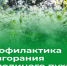 Легче предотвратить пожар, чем тушить его!. - Город Коряжма