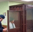 Блогерше из Петербурга дали 12 лет колонии за бросок коктейля Молотова в здание МВД - Neva.Today