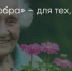 Поделитья во ВКонтакте - Братская Студия Телевидения
