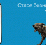 Как быстро сообщить о бездомных животных в Челябинске? - U74.Ru