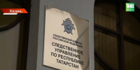 Бастрыкин поручил доложить о нападении бультерьера на 12-летнюю девочку в Нижнекамске - ТРК Татарстан-Новый век