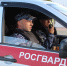 В Коми росгвардейцы пресекли в магазинах хулиганство, драку и попытку хищения виски - ИА Комиинформ