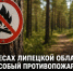 В лесах Липецкой области с 20 мая вводится особый противопожарный режим - Газета Задонская правда