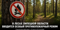В лесах Липецкой области с 20 мая вводится особый противопожарный режим - Газета Задонская правда