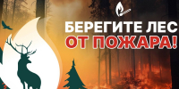 Минлесхоз напомнил о правилах пожарной безопасности в лесах - НТА-Приволжье