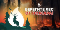 Нижегородский Минлесхоз напоминает о важности соблюдения правил пожарной безопасности в лесах - Правительство Нижегородской области