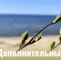 Министерство туризма Псковской области проводит дополнительный конкурсный отбор общественных инициатив и проектов, направленных на развитие туристской инфраструктуры в 2026 году.                      - Министерство туризма
