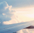 Фото Рейсы в Москву и Калининград из Нижнего Новгорода задержали 10 июля  - Новости Живем в Нижнем - Сетевое издание Живем в Нижнем