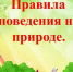правила ответственного поведения на природе - фото - 1 - Шумячский район