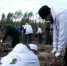 К природе — бережно: во Владимирской области в седьмой раз высадили деревья в рамках акции «Сад Памяти» - 6tv.Ru