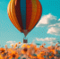 Впервые в регионе пройдет международный фестиваль воздухоплавания - Progorod58.Ru