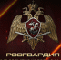 Ключевые события Росгвардии: итоги недели (видео) - Росгвардия