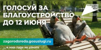 Продолжается всероссийское онлайн-голосование за общественные территории, которые благоустроят в 2027 году в рамках федерального проекта «Формирование комфортной городской среды» нацпроекта «Инфраструктура для жизни» - Администрация Мостовского гп
