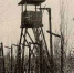 19 мая 1941 года Приказом по ГУСДС № 231 организован прииск  «Джелгала». - Kolyma.Ru