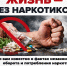 Жизнь без употребления наркотиков - Itar-TassKuban.Ru