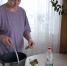 Хватаю "лаврушку" пачками, но не для готовки: соседка дала полезный совет на лето - ProGorodNN.Ru