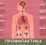 Здоровье эндокринной системы - Наркологический диспансер