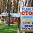 Омичи еще могут отправить детей в загородные лагеря в августе - Вечерний Омск