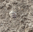 image - GazetaRB.Ru