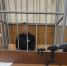Курьер мошенников пытался забрать 8 млн рублей у дочери участника СВО в ЕАО - ИА Хабаровский край сегодня