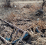 image - GazetaRB.Ru