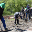 В Саяногорске «На семи ветрах» высадили более 150 деревьев и кустарников - Агентство Информационных Сообщений