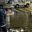 Спасатели откачали воду после ливня на улицах Краснодара  - Газета Краснодарские известия