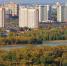 В Омске начали косить траву в парках, скверах и вдоль дорог - Om1.Ru
