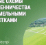 Росреестр сообщает о новых схемах мошенничества с земельными участками. - Катайский муниципальный округ