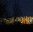 Фото: ПАИ - InformPskov.Ru