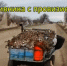 Земля тоже под нашим контролем - Октябрьский район