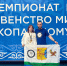 Кировская спортсменка победила на Первенстве мира по рукопашному бою - Kirov.Online