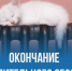 Отопление в Якутске отключат до понедельника - ИА SakhaTime