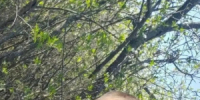 Сотрудники полиции разыскивают шестиклассника в Красноглинском районе - НИА Самара