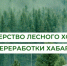 Приказом Министерства лесного хозяйства и лесопереработки введено ограничение пребывания граждан в лесах - Аяно-Майский район