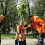 Иван Носков: "По новой концепции озеленения города выбираем устойчивые к местному климату растения" - Волга Ньюс