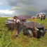 17d8c462-d54d-4ef7-bad2-fa096b1e82d6 - ОМВД Республики Крым