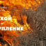Пал сухой травы: почему это опасно и к чему это может привести?! - Администрация Каменского района