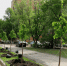 В Самаре изменили подход к озеленению: высажено более ста деревьев - НеСлухи.РФ