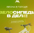Мерч, конкурс костюмов и призы: в Пскове в начале июня пройдёт велопарад - Pln-Pskov.Ru