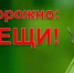 Осторожно! клещи... - Технологический техникум