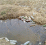 Давайте беречь природу! Убирайте за собой мусор! - Газета Ваша звезда