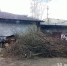 В Нижнем Тагиле управляющие компании начали перерабатывать ветки в щепу - ИА Все новости