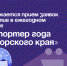 Продолжается прием заявок на участие в ежегодном конкурсе «Экспортер года Приморского края». - Администрация Артёмовского городского округа