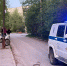 В Карелии питбайк влетел в столб - Gubdaily.Ru