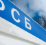 Фото: SGr/Shutterstock/Fotodom - Ямал-Медиа
