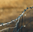 image - GazetaRB.Ru